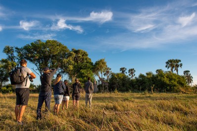 sunway-botswana-okavango-bruce-taylor-7164.jpg
