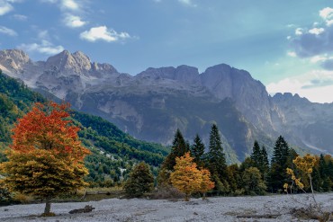 landscape-3723345_1920_pixabay.jpg