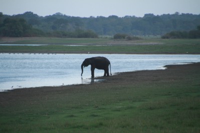 img_7587.jpg