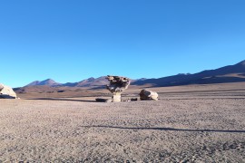 img_20240616_171753.jpg