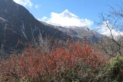 p1021059.jpg