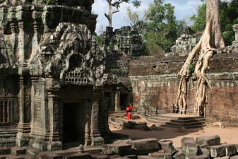 angkor-tempel-ta-prohm.jpg