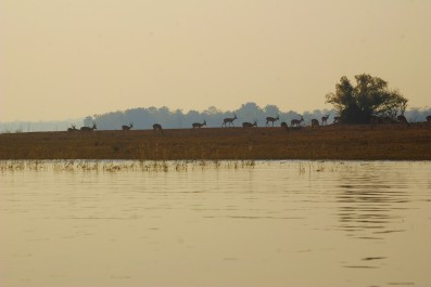 game-viewing-06.jpg