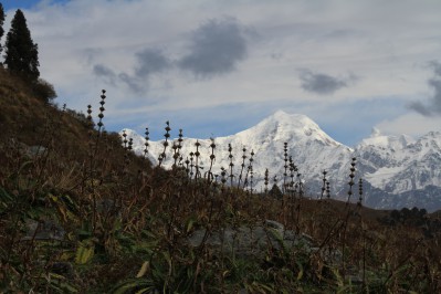 img_4860.jpg