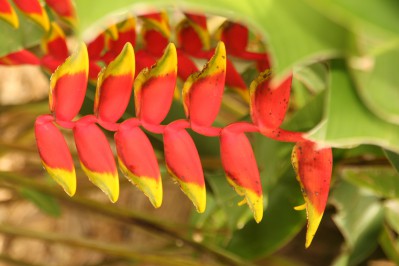 botanischer_garten_sueden-50.jpg