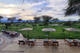 tarangire-simba-lodge.jpg