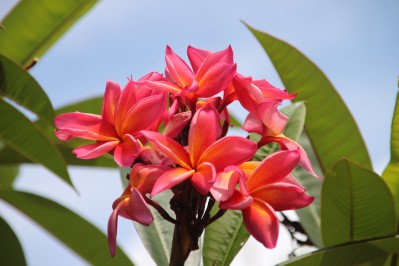 botanischer_garten_sueden-31.jpg