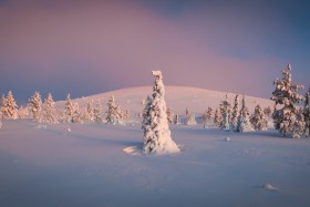 harriniva-hotels-safaris-winter-41.jpg