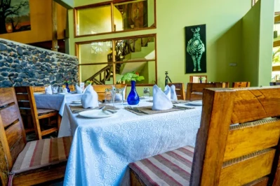 qsf00311-768x512.webp