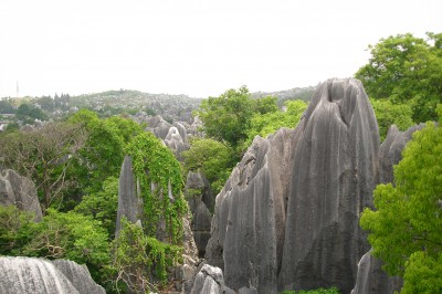 stone-forest-2.jpg