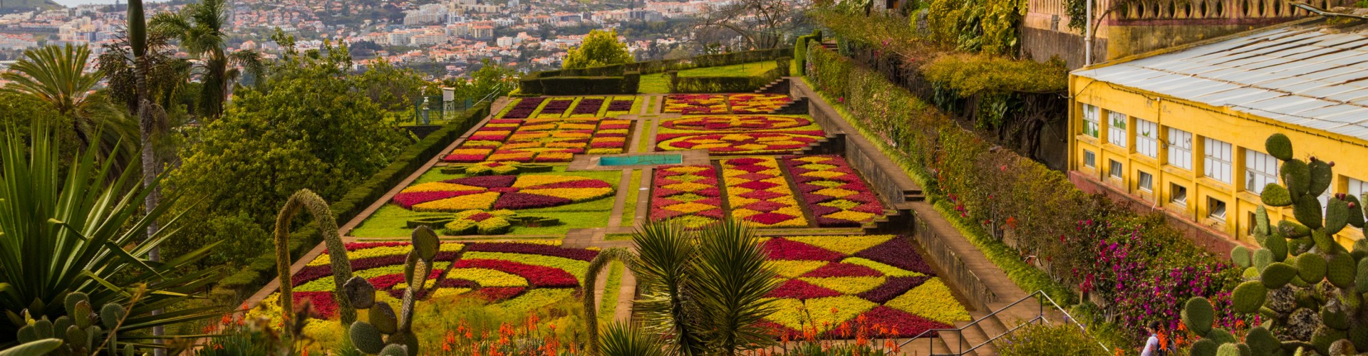 Madeira Wanderwoche Vom Feinsten Auf Der Blumeninsel At Reisen