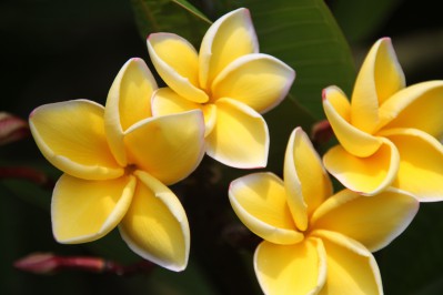 botanischer_garten_sueden-21.jpg