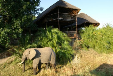 mukambi_safari_lodge_-_elephant.jpg