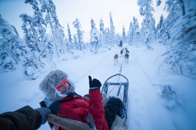 harriniva-hotels-safaris-huskies-41.jpg
