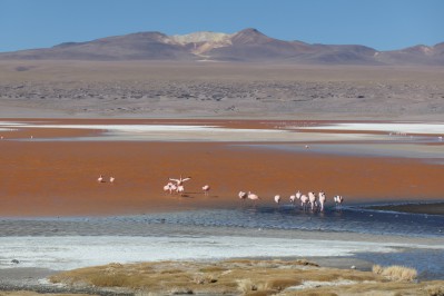 p1124935.jpg