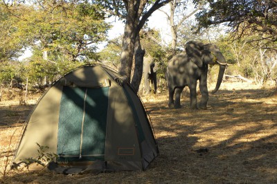 sunway-botswana-moremi-campsite-andre-lindsay-8134.jpg