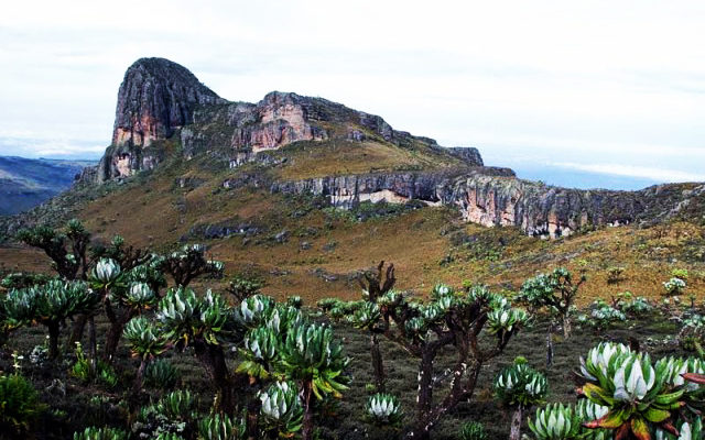Mount elgon discount