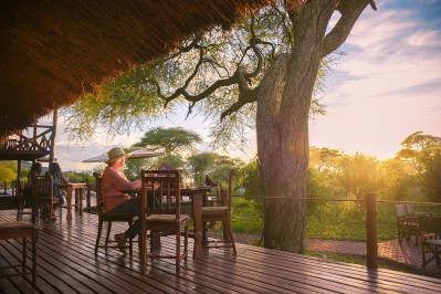 tarangire_simba-3146.jpg