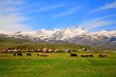 aragats.jpg