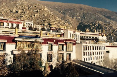 lhasa17.jpg