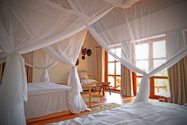 papaya-room.jpg