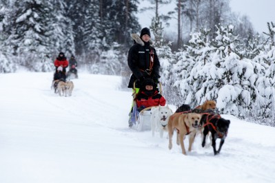 husky9_vuokattisafaris.jpg