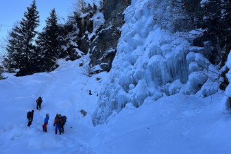 img_5853.jpg