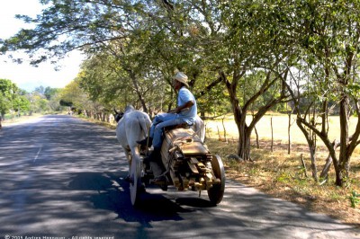traditioneller-ochsenkarren-in-guanacaste.jpg