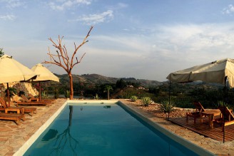papaya-pool_01.jpg