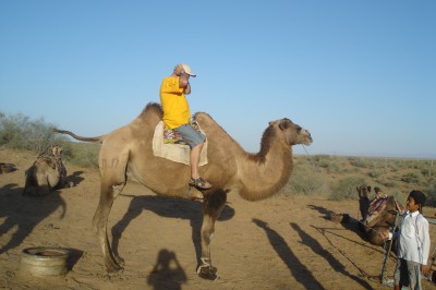 camel-tour.jpg