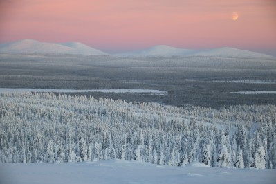 c015.jpg
