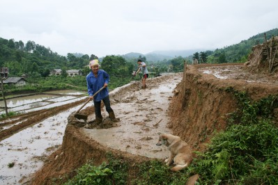 terrace-field-vixuyenhagiang.jpg