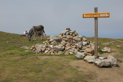 gr20-bocca-a-reta-2.jpg