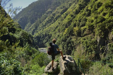 laurissilva-forest-fc-turismo-da-madeira.jpg