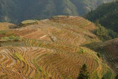 4-longji-rice-terrace.jpg