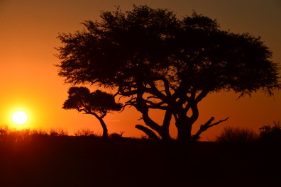 dsc_6107.jpg