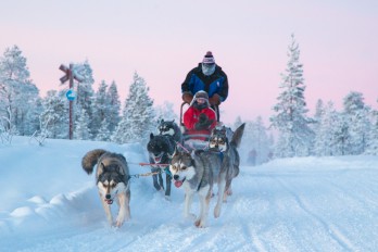 harriniva-hotels-safaris-huskies-67.jpg