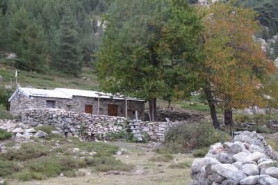 bergeries-de-livru-4.jpg