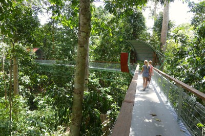 sabah-sepilok-sunbear-04a.jpg