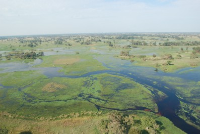 okavango-delta.gallery_image.12.jpg