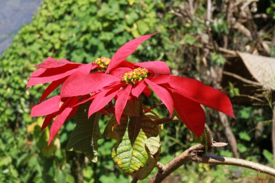 img_1994.jpg
