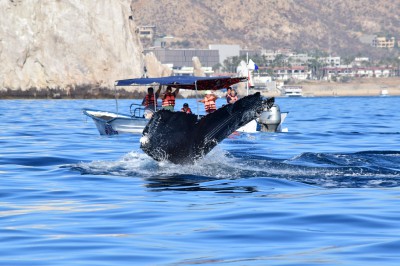 dsc_0106.jpg