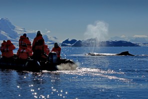 -filip-kulisev_antarctic_lemaire-channel_whale-1.jpg