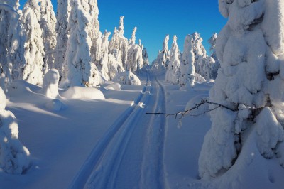 maisema2.jpg