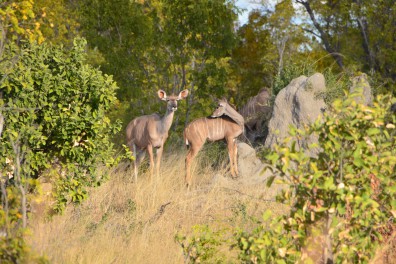 dsc_6087.jpg
