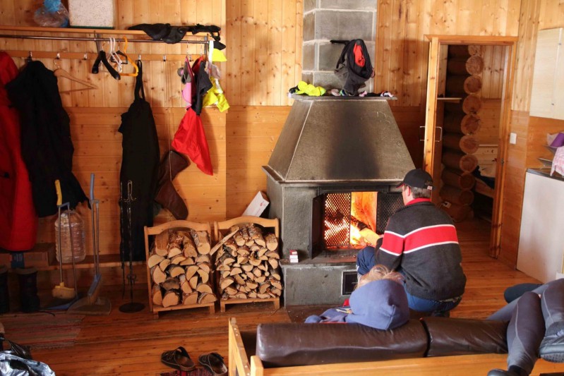 hund atmet stoßweise