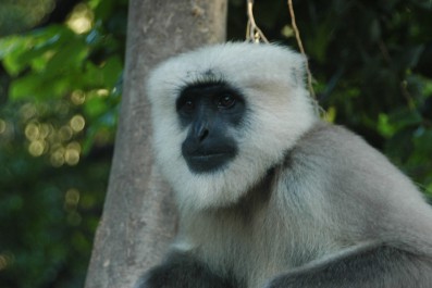 dsc_0042.jpg