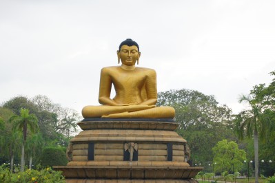sri-lanka-colombo-elephant-orphanage-dambulla-077.jpg