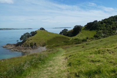coromandel-anja.jpg