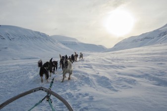 hundeschlitten_tour_auf_spitzbergen_bild_marcel_schuetz.jpg